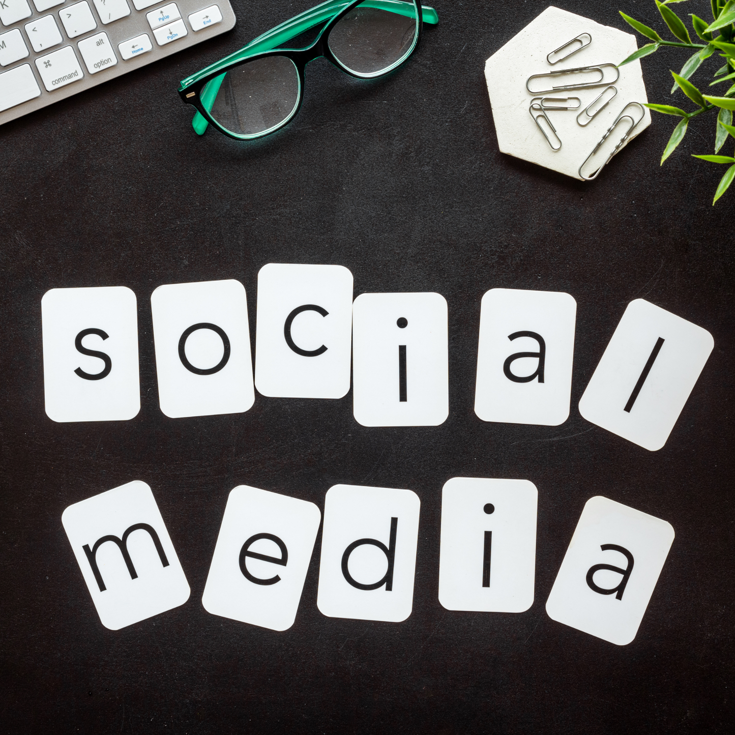 MAD Apparel March 2025 Social Media Blog